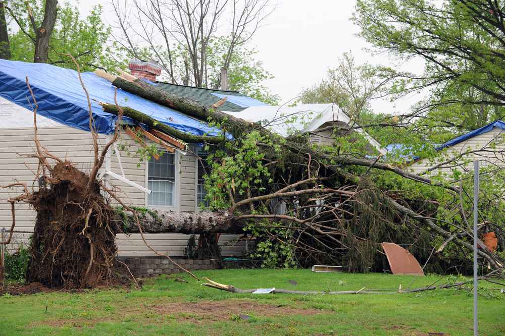 Trusted Storm Damage Repair Montana