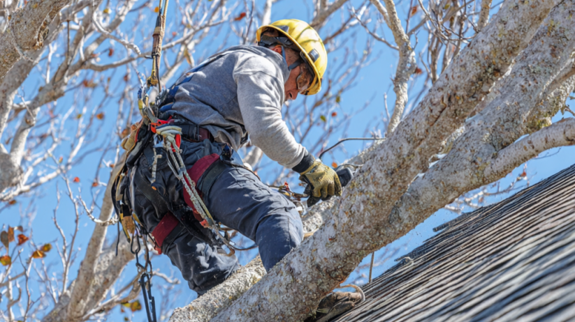 Trusted Roof Maintenance in Billings, MT