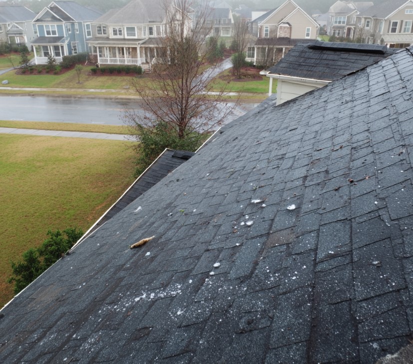 hail damage on asphalt shingle roof